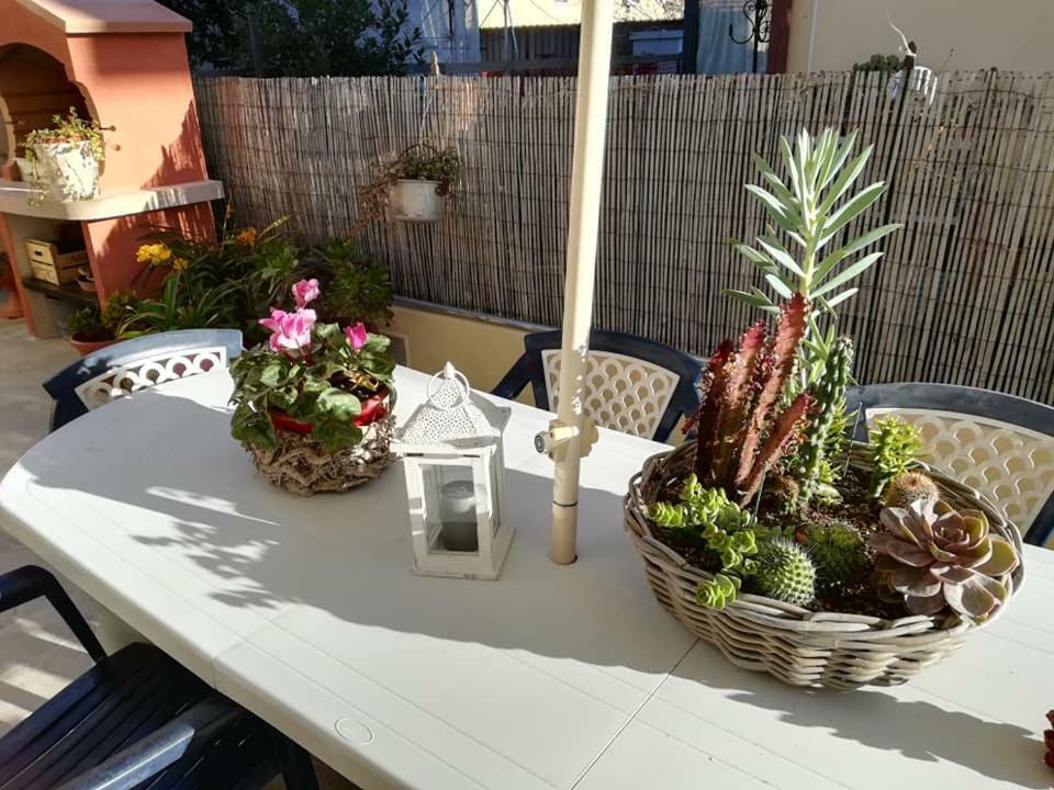 Willa Melon'S House Torre del Lago Puccini Zewnętrze zdjęcie
