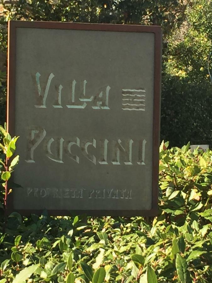 Willa Melon'S House Torre del Lago Puccini Zewnętrze zdjęcie