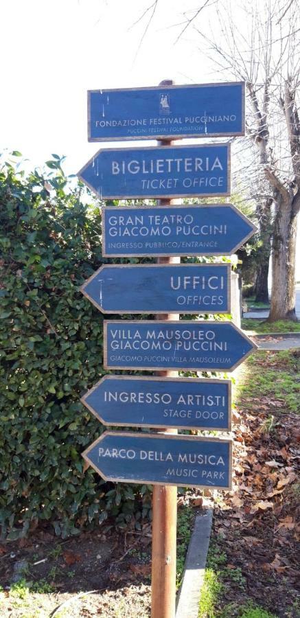 Willa Melon'S House Torre del Lago Puccini Zewnętrze zdjęcie