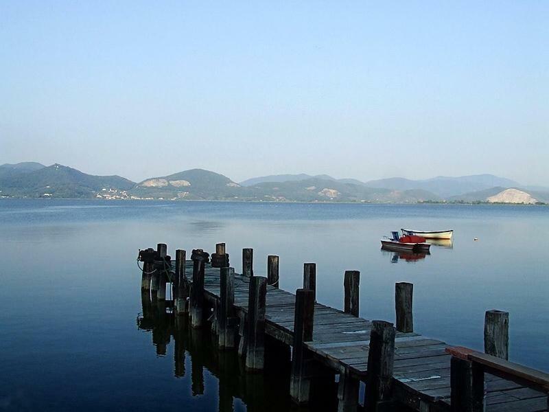 Willa Melon'S House Torre del Lago Puccini Zewnętrze zdjęcie